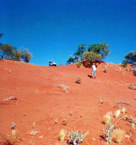 Book cover and 4WD rollover photographs